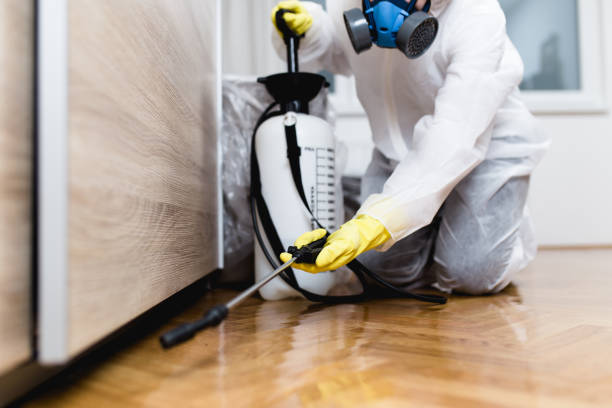 Best Affordable Pest Control Services  in Winthrop, IA