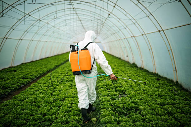 Best Residential Pest Control  in Winthrop, IA
