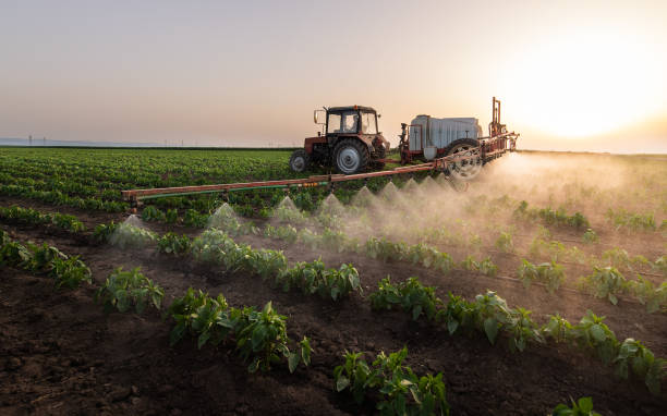 Best Commercial Pest Control Services  in Winthrop, IA