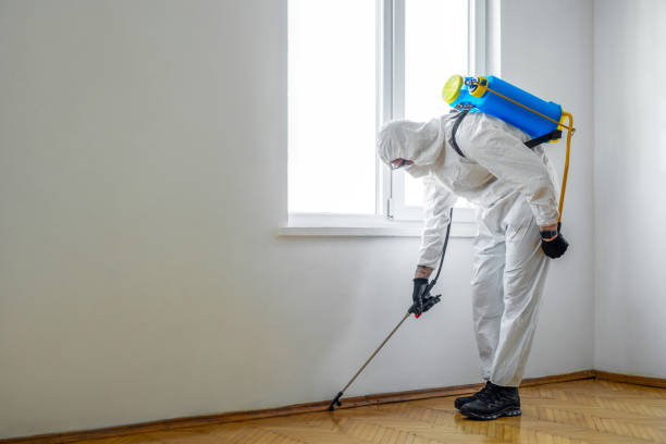 Best Exterminator Services  in Winthrop, IA