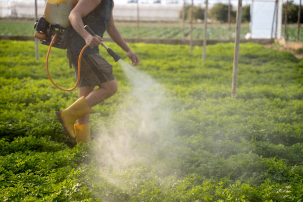 Best Pest Removal Services  in Winthrop, IA