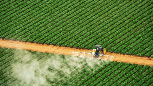 Trusted Winthrop, IA Pest Control Experts