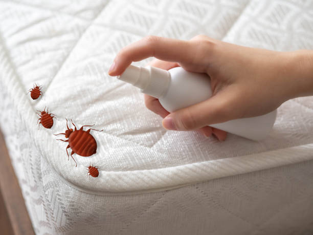 Best Best Pest Control Companies  in Winthrop, IA
