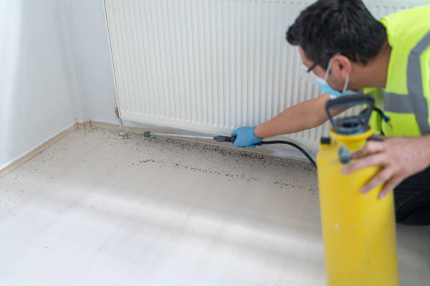 Pest Control Cost in Winthrop, IA